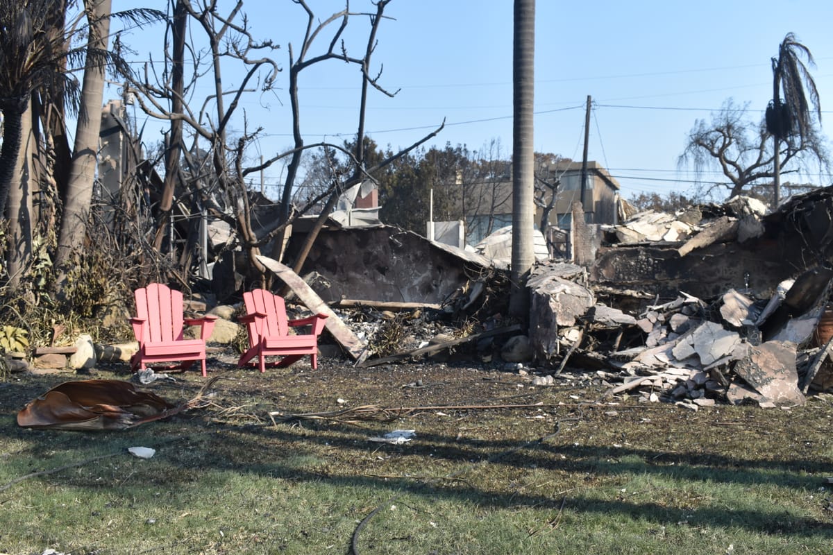 Investors snap up fire zone properties and housing recovery struggles