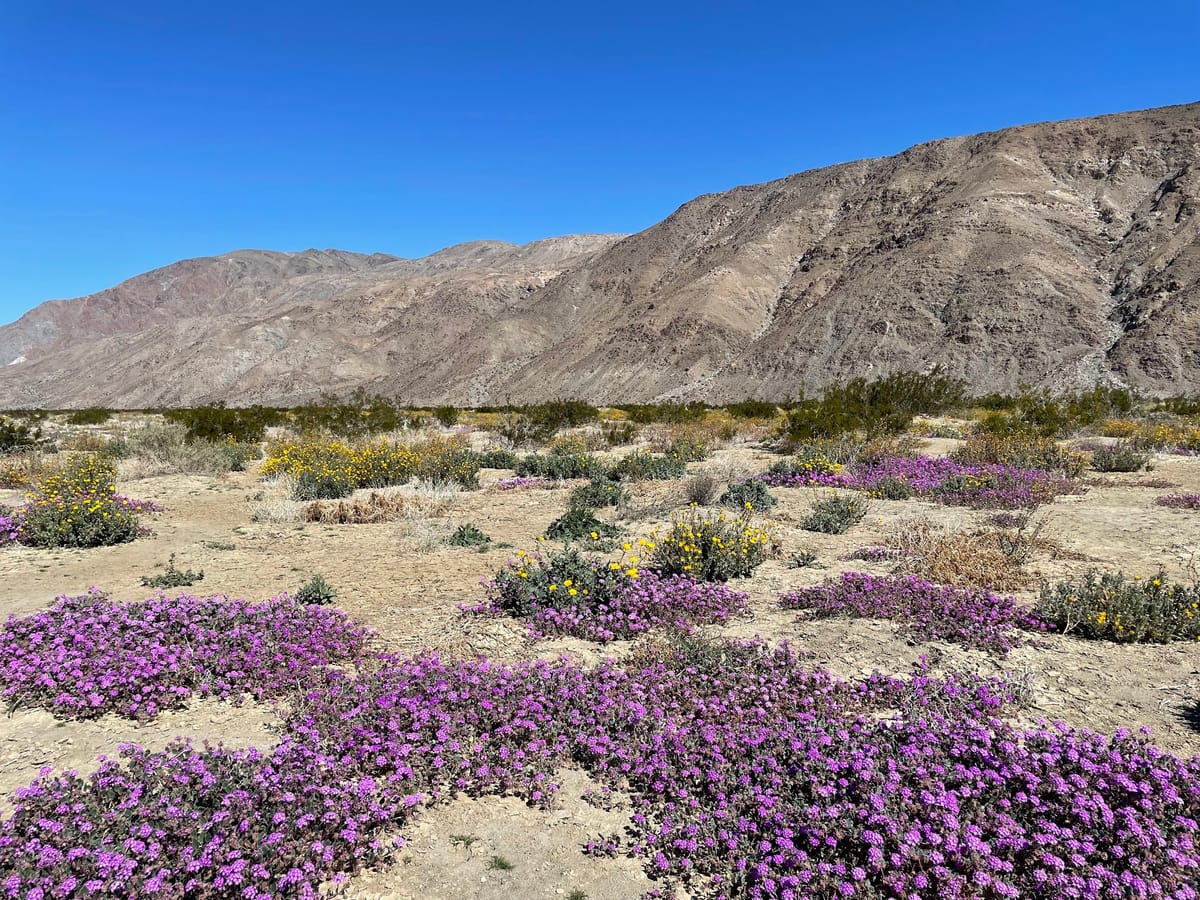 California State Parks Foundation Seeks Nominations for Best Parks Poll