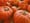Celebrate Pumpkin Season at the Virginia Avenue Park Mini Fall Festival 