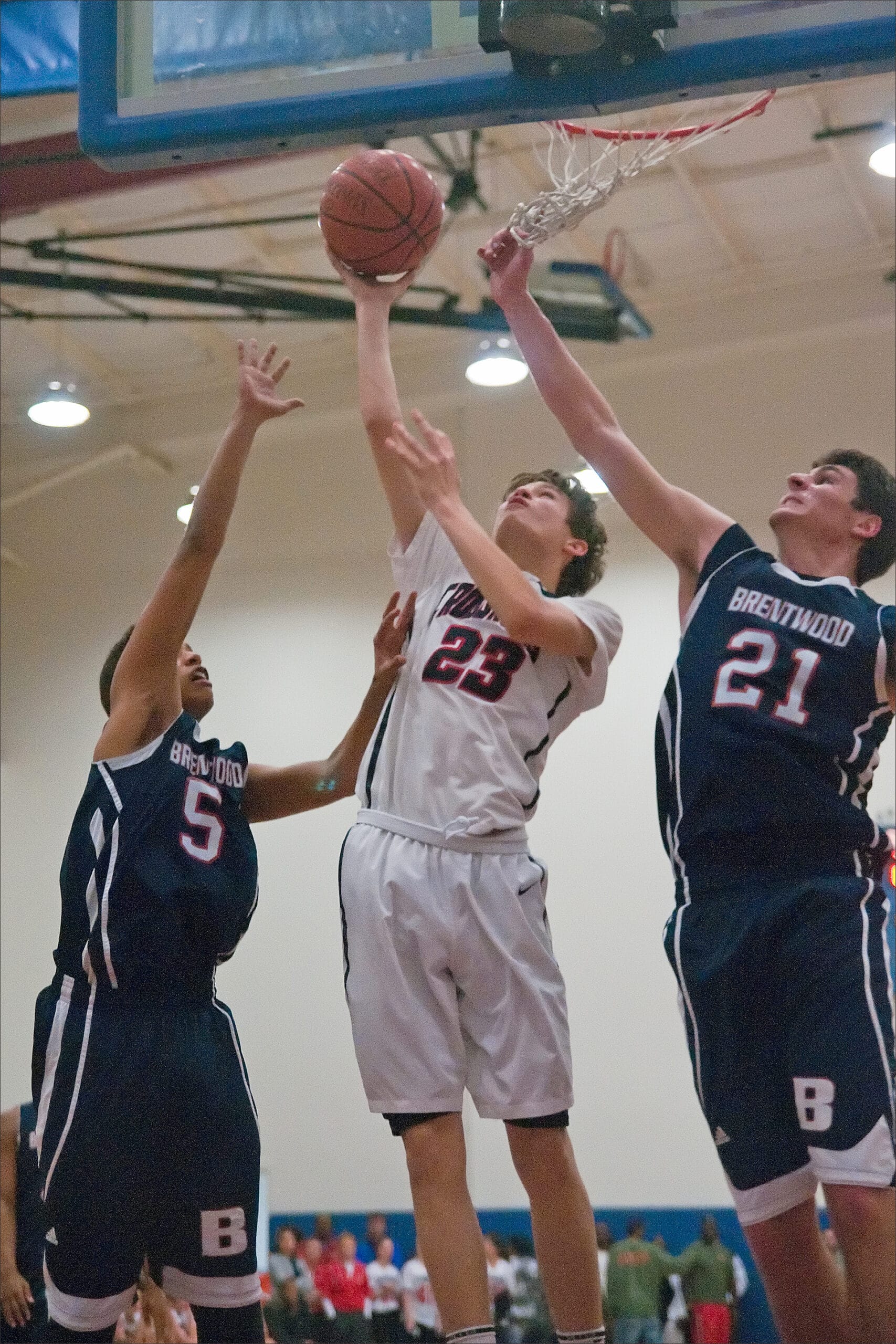 Photo by Morgan Genser