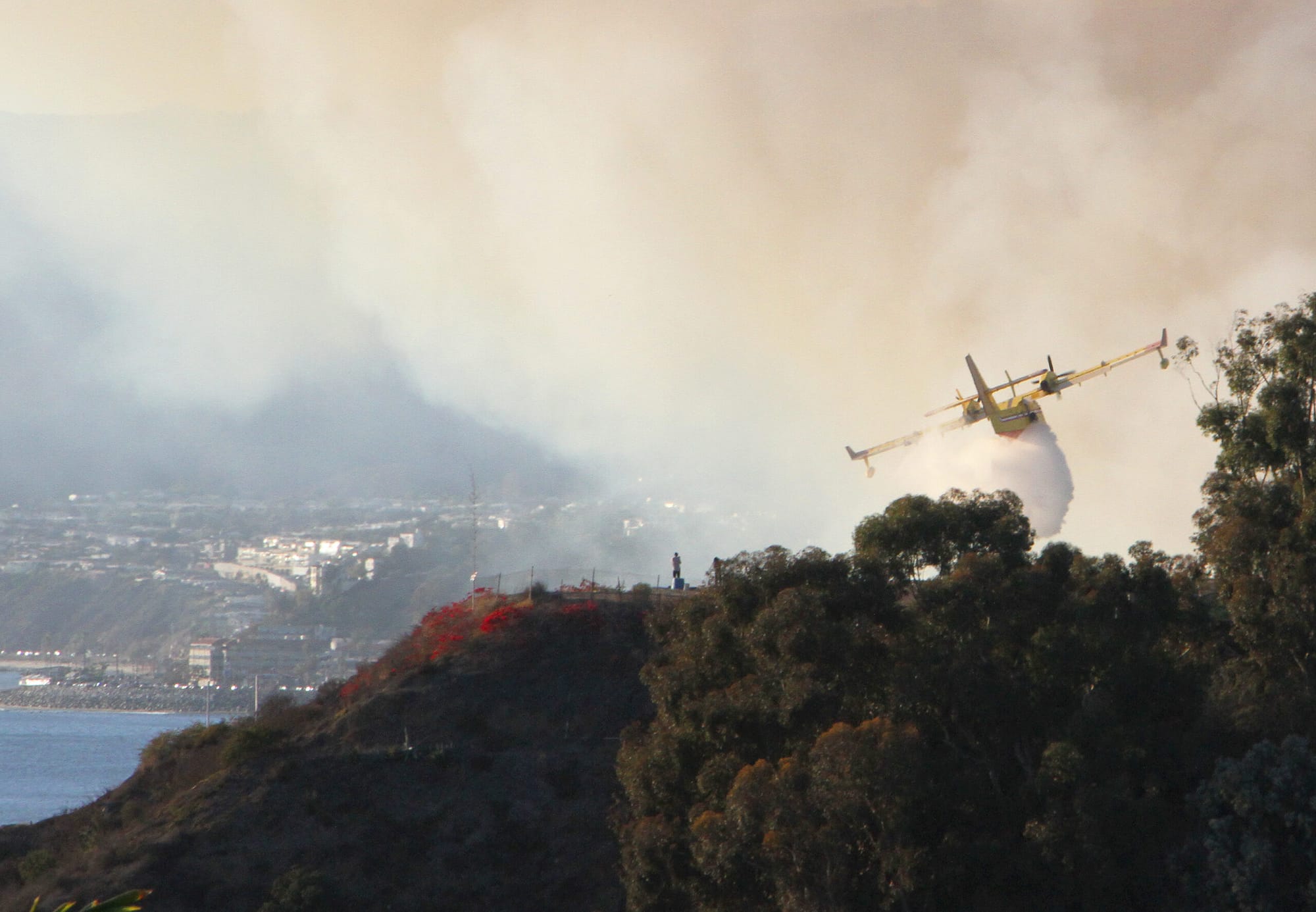 The brush fire in the Pacific Palisades as seen from Santa Monica.