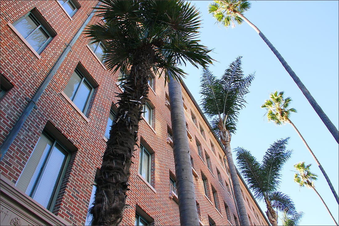 HISTORIC: The Palisades Building at the Fairmont Miramar Hotel has been given landmark status by the Landmarks Commission. (Photo by Daniel Archuleta)