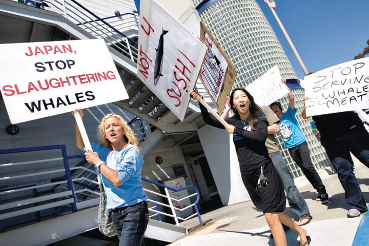 Protestors march outside sushi restaurant The Hump back in 2010 after learning the owner and two chefs were accused of selling endangered whale meat. (File photo)
