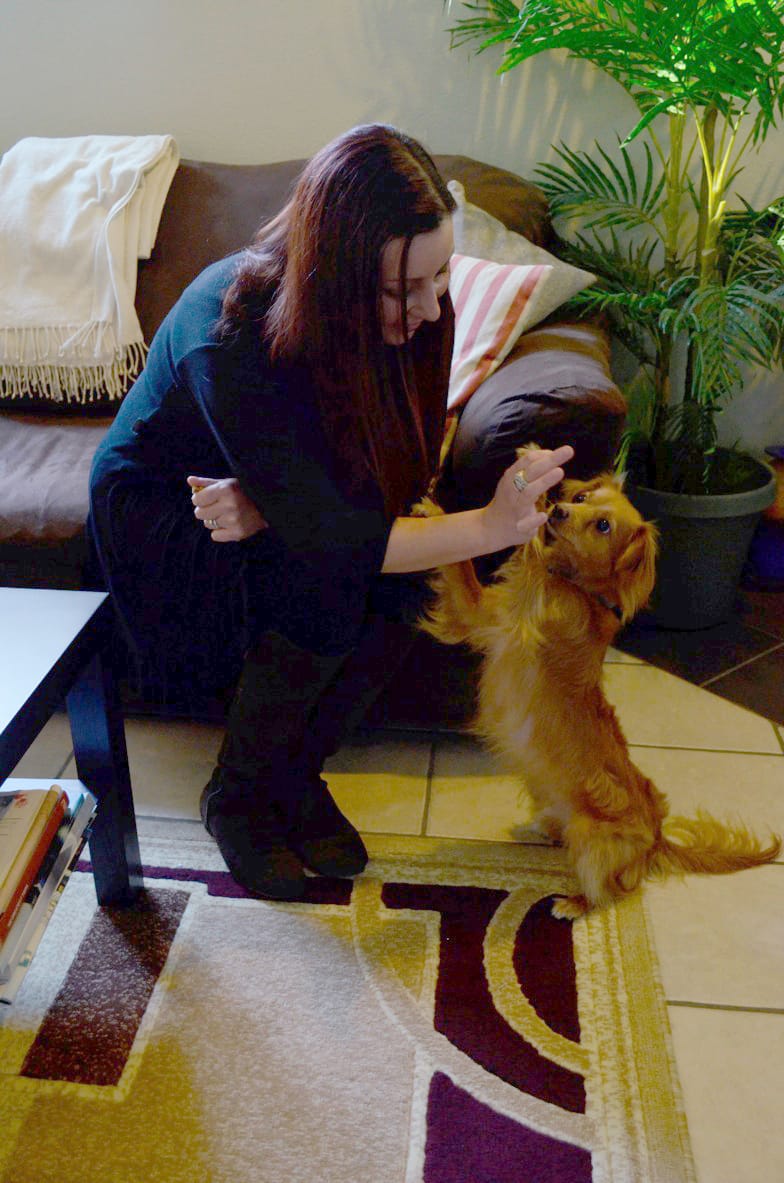 Tatiana Masterson plays with her dog Auggie in her Santa Monica home, where she cares for other dogs as a host for the company DogVacay. (Alex Vejar editor@www.smdp.com)