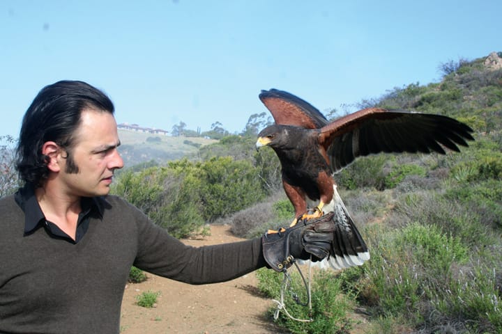 Master falconer Nricco Iseppi and Maya, one of three Harris Hawks he owns, near his house in Malibu. (Knowles Adkisson editor@www.smdp.com)