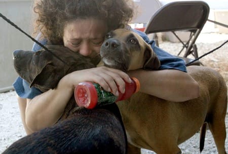 050907_blog_marchand_pets