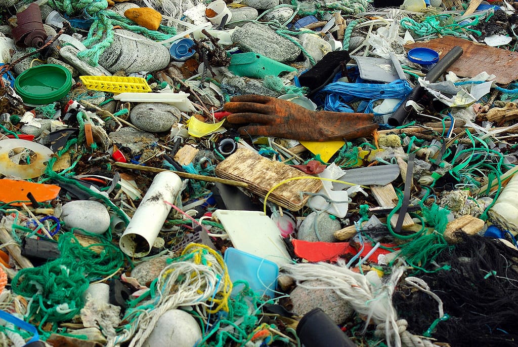YUCK: Contrary to popular myth that most ocean pollution is oil spilled from ships, most of it is land-based litter. Pictured: Plastic litter on a beach, before clean-up. (Photo courtesy Bo Eide/Flickr)