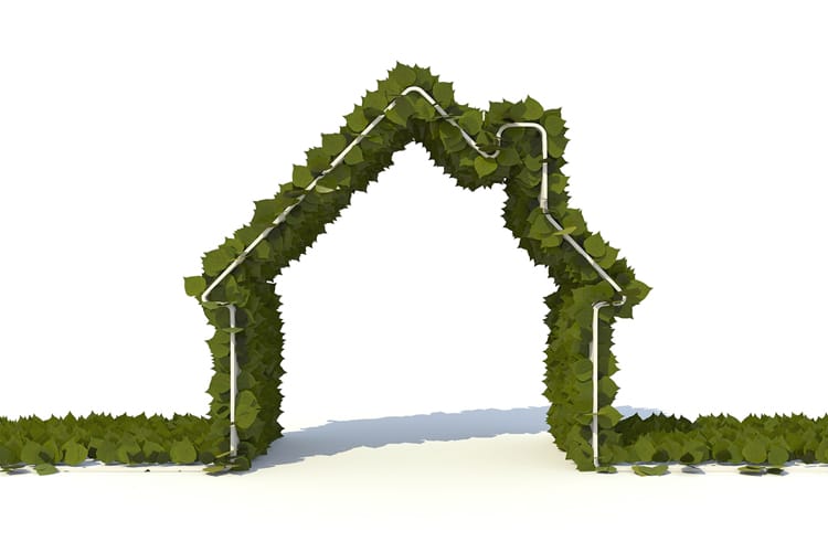 There has never been a better time to renovate green, given the abundance of Earth-friendly building material choices as well as contractors well-versed in energy- and resource-efficiency. (Photo courtesy Stockmonkeys.com)