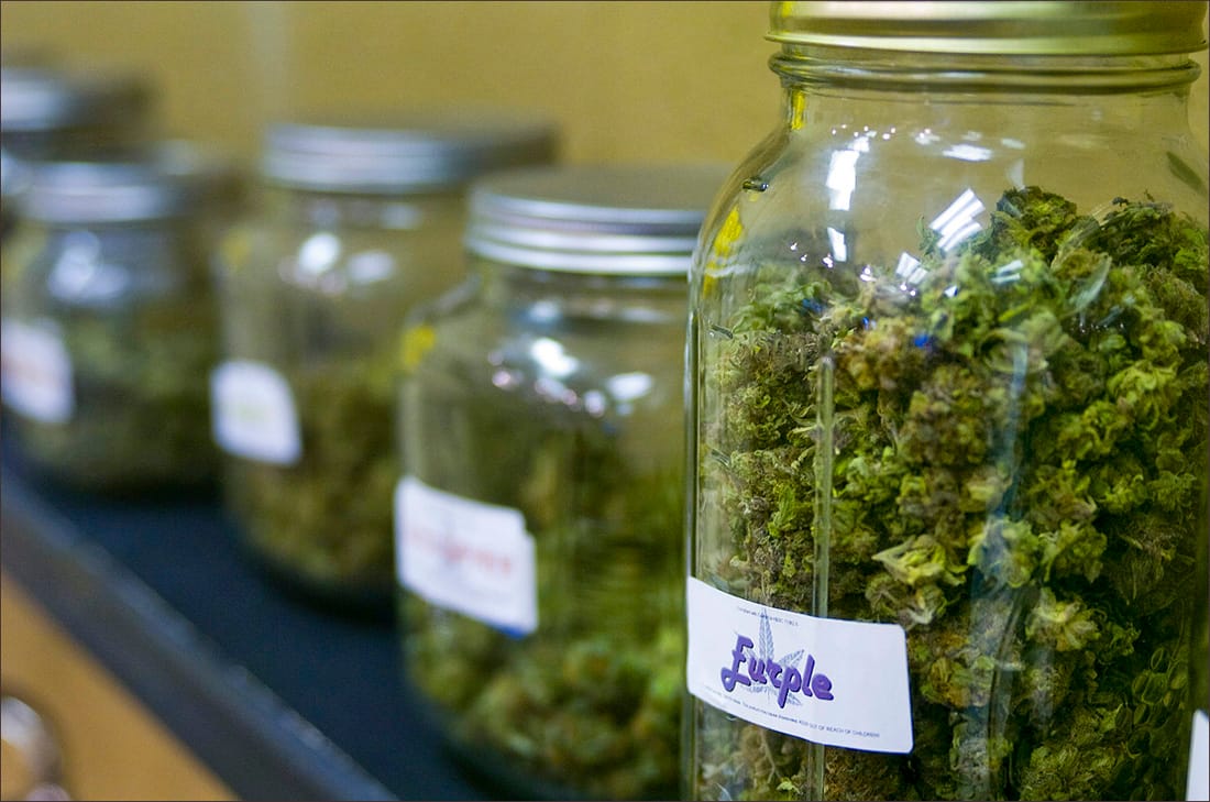 Jars filled with marijuana for medicinal use fill the shelves at a Venice collective. (File photo)