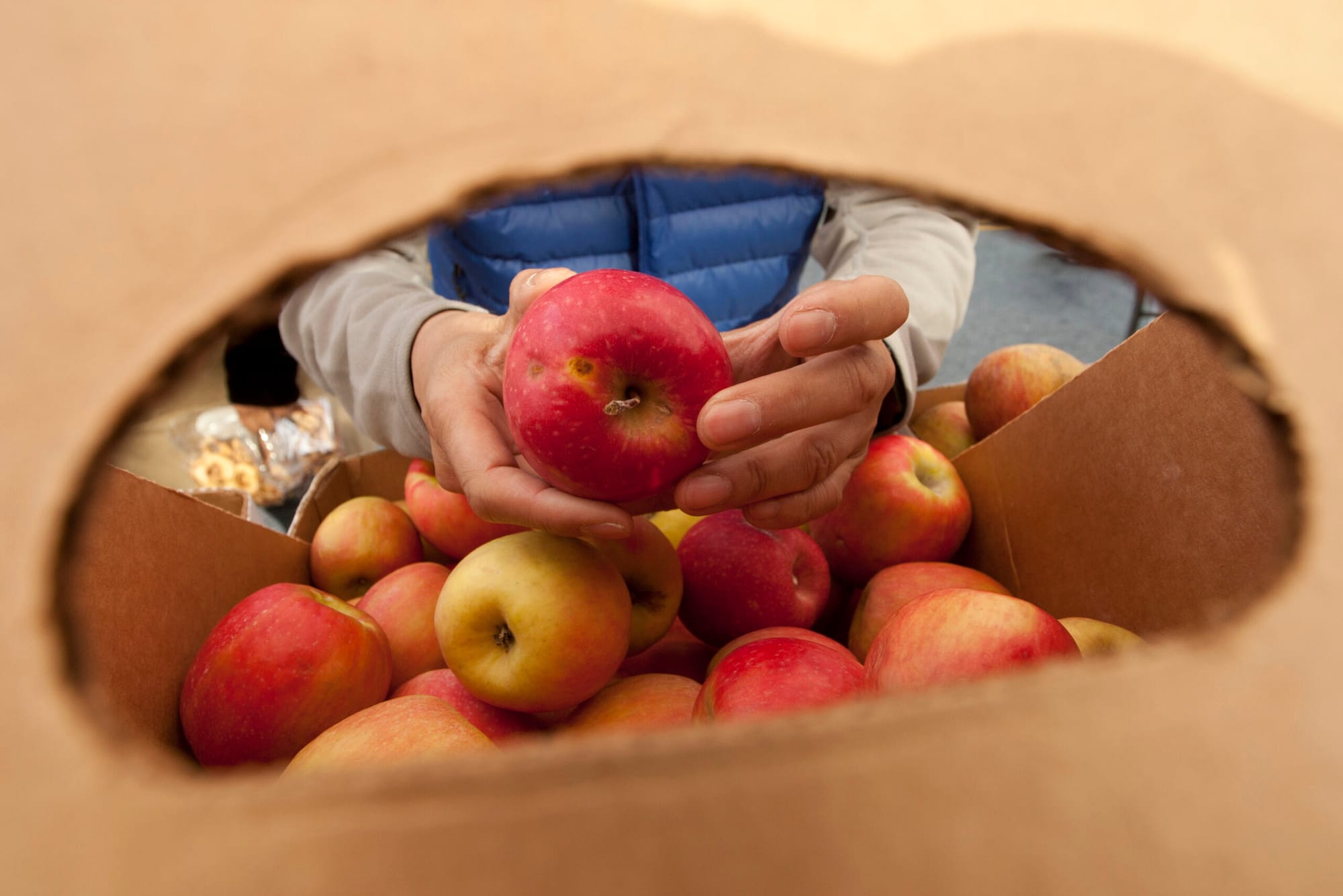 10xx12 _ FOOD localisious 2