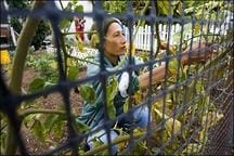 12A8A4Lhm2B5F4DC.lg 12A8A4Lhm2B5F4DC.lg