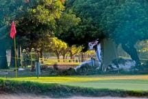 231CECsQt39FD6FF.lg 231CECsQt39FD6FF.lg