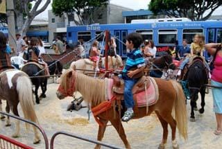 A child rides a pony at the Sunday Main Street Farmers' Market. Some want to ban it. (Photo courtesy blocksnap.com)