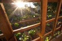 c31A5AXXo2FBC55E.lg c31A5AXXo2FBC55E.lg