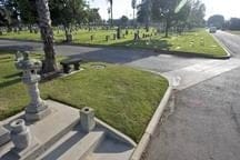 d2FCA9WHQ2775458.lg d2FCA9WHQ2775458.lg