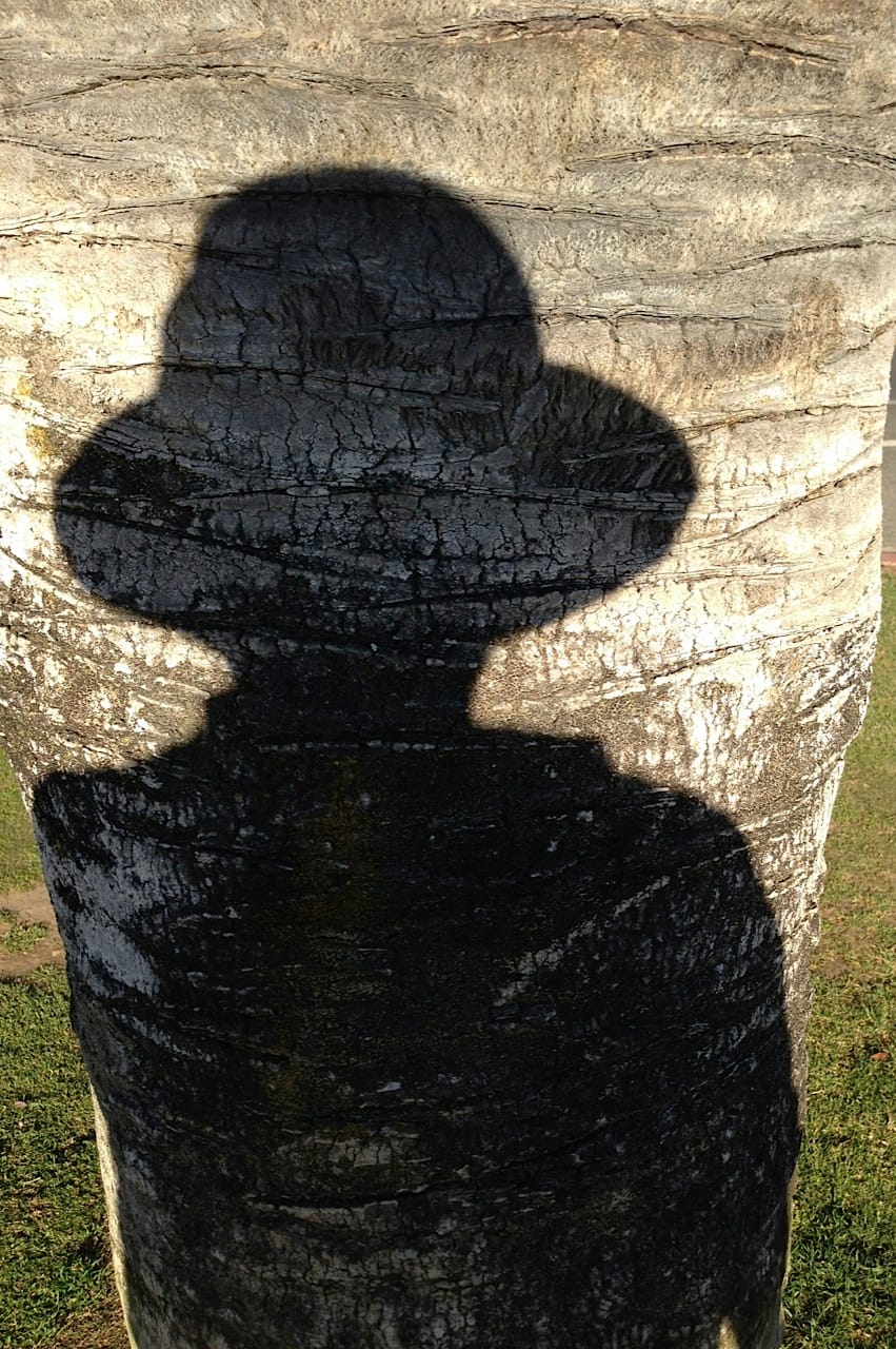 Image courtesy Bruria Finkel