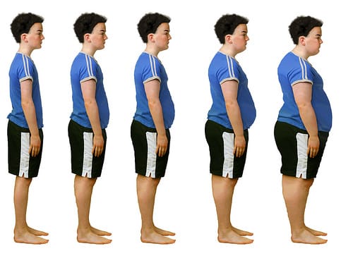 More than one-third of U.S. adults and 17 percent of children are obese, according to the Centers for Disease Control and Prevention (Image courtesy of Google Images).
