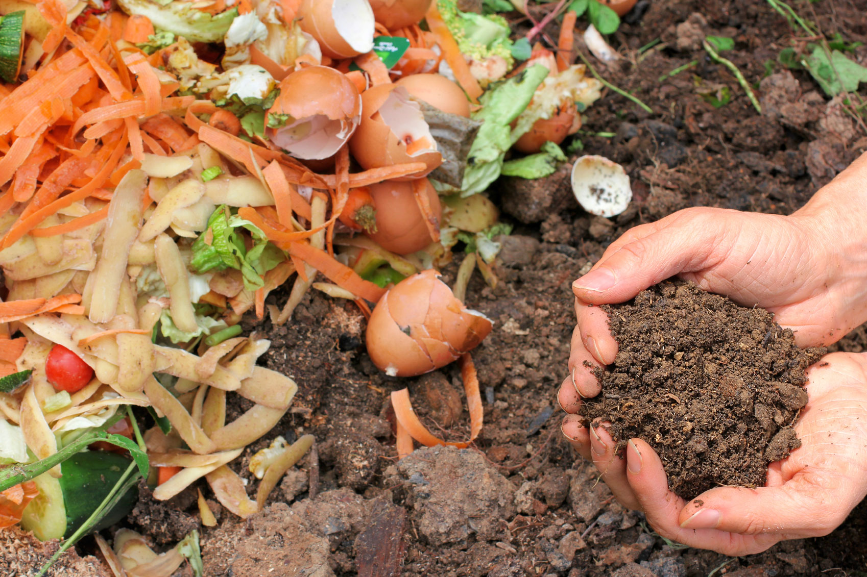 Image result for organic composting